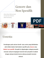 Presentasi Kasus Uretritis Gonore Dan Uretritis Non Spesifik