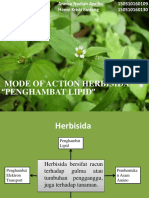 Mode of Action Herbisida