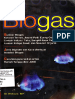 Biogas.pdf