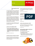 COMITE DE SEGURIDAD.pdf