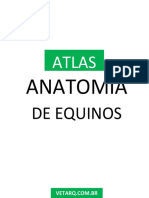 ATLAS DE ANATOMIA DO CAVALO.pdf