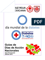 Dda Diabetes 2012b