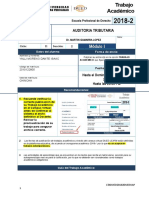 AUDITORIA TRIBUTARIA.doc