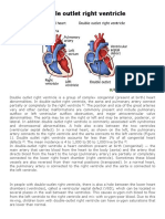 Case Study: Double Outlet Right Ventricle