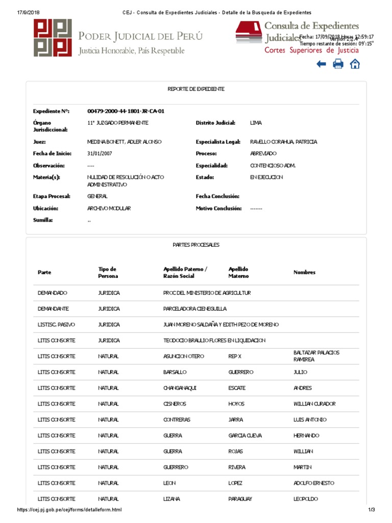 Cej consulta de expedientes judiciales detalle de la busqueda de