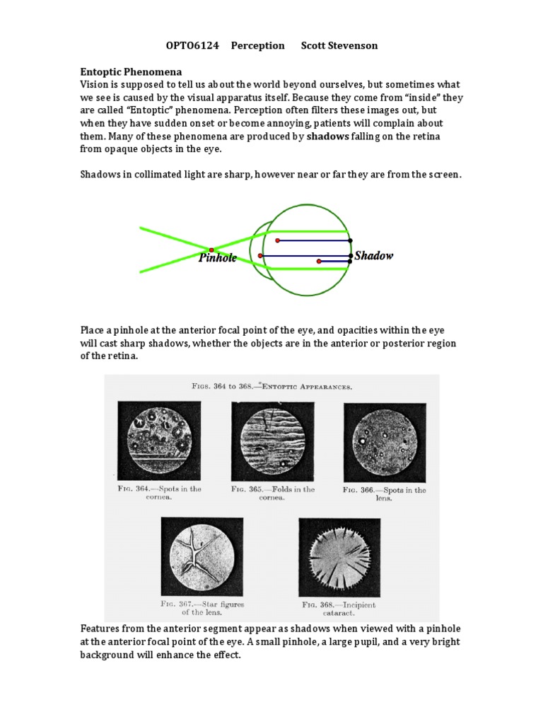 Entoptic Phenomena PDF Shadow Eye