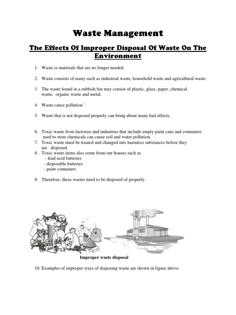 Effects of Improper Waste Disposal | PDF | Decomposition | Waste
