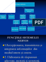 Tesutul Nervos Si Propagarea Impulsului