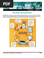 Tema Enem Biocombustíveis