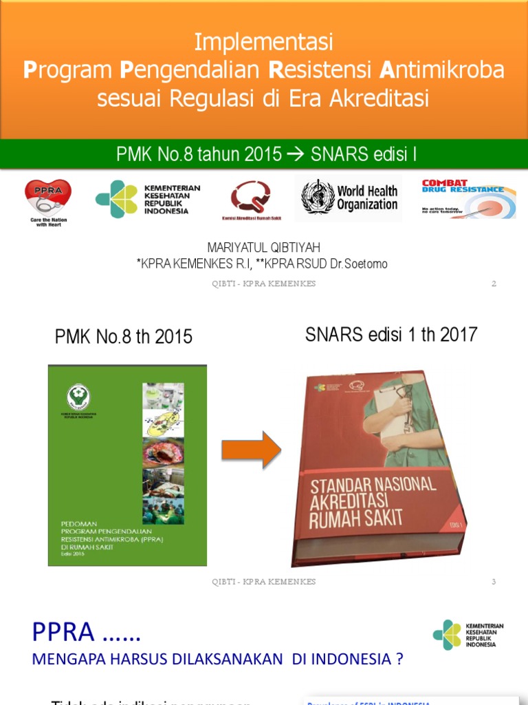 Panduan PPRA Kemenkes 2025 | PDF | Pengembangan Diri | Kesehatan Holistik