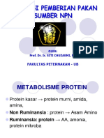 Strategi Pemb Pakan Sumber NPN