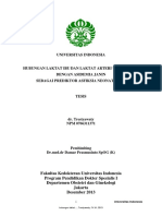 File PDF