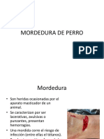 Mordedura DE PERRO.pptx