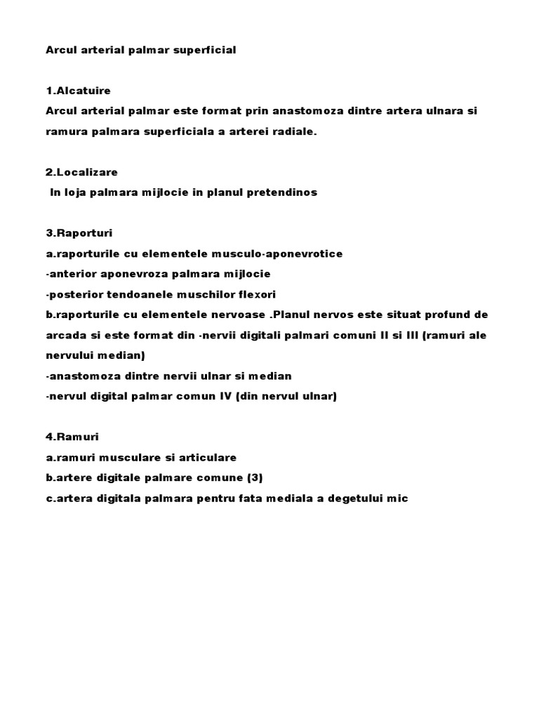 Arcul Arterial Palmar Superficial | PDF