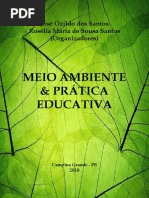 001 - MEIO AMBIENTE AMBIENTE & PRÁTICA EDUCATIVA.pdf