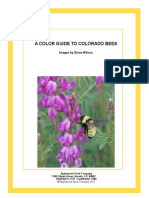 Guide to Colorado Bees
