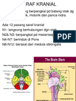 Stase Radiologi-Abdomen X Ray Abnormal