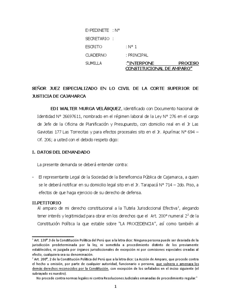 Proceso de Amparo por Derecho Laboral | PDF | Ley procesal | Caso de ley