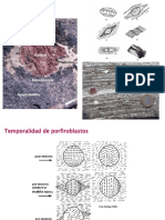 C11 Rocas Metamorficas 3