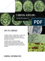 Candida Albicans Mikrobiologi