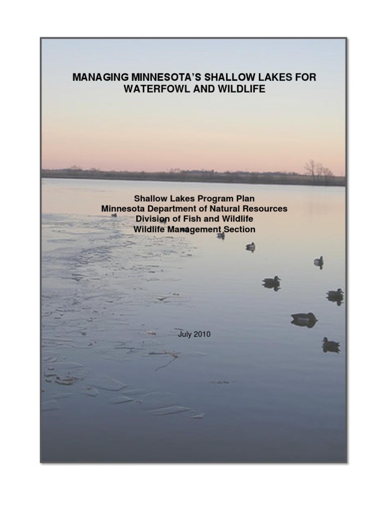 Minnesota DNR Shallow Lakes Plan Wetland Habitat