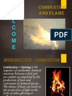 Combustion and Flame