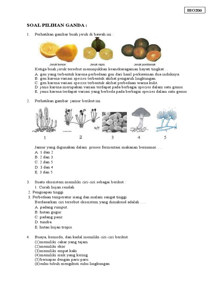 Berdasarkan Ciri Ciri Tersebut Ekosistem Yang Dimaksud  