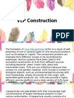 VLP Construction