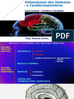 Sistema Nervoso e Cardiorrespiratório