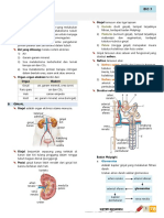 materi sistem ekskresi-xi mipa.pdf