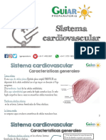 Histología - Power Point Sistema Cardiovascular GUIAR 2018 ALUMNOS