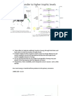 Energy Transfer To Higher Trophic Levels