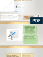 Presupuesto de Tesorería o Flujo de Caja