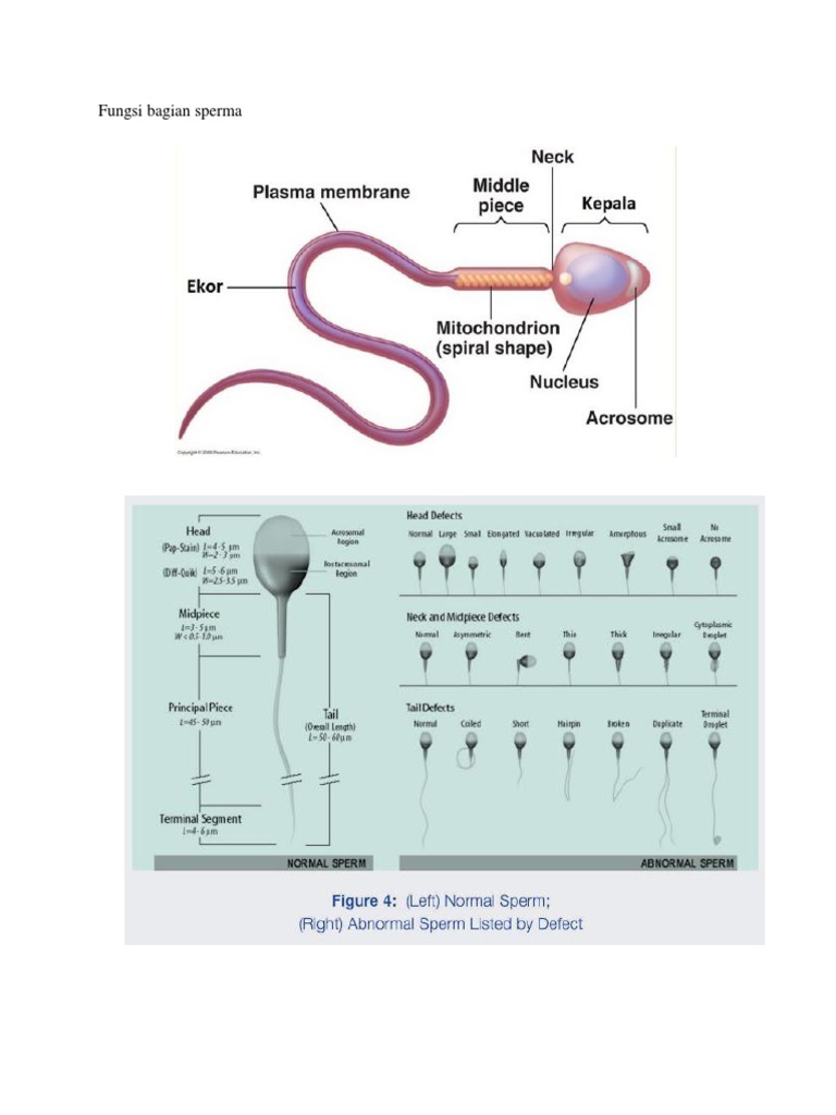 Qizni hohlamaganida sikdi