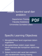 Sistem Kontrol Saraf Dan Endokrin: Departemen Fisiologi Fakultas Kedokteran Universitas Sumatera Utara