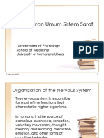 Gambaran Umum Sistem Saraf: Department of Physiology School of Medicine University of Sumatera Utara