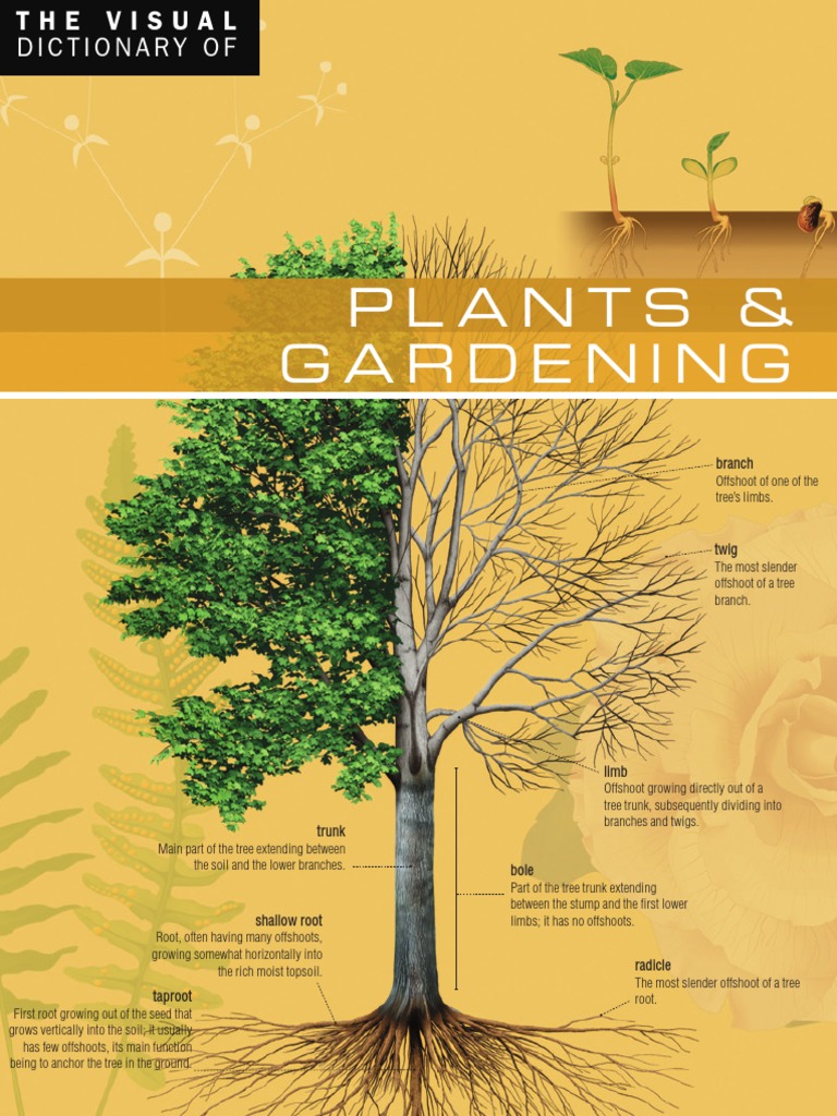The Visual Dictionary of Plants & Gardening PDF | PDF | Moss | Mushroom