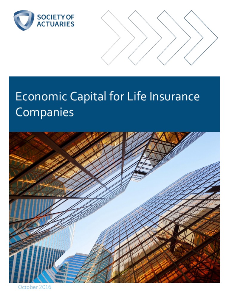 Research 2016 Economic Capital Life Insurance Report PDF | PDF ...