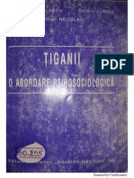 Tiganii, o Abordare Psihosociologica