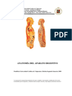 Anatomía Aparato Digestivo.pdf