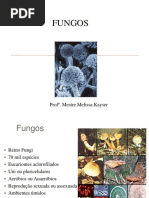 2-micoses-superficiais