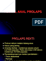 Rectal Anal Prolaps