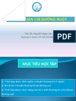 Vi Khuan Chi Duong Ruot