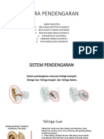 PPT Anfis Indra (Pendengaran)