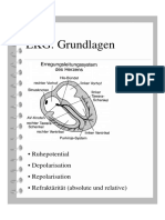 Basic EKG Refresher