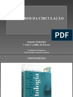 Patologia - Distúrbios-da-circulação.pdf