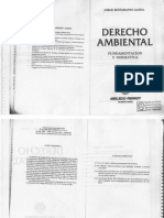 38613248-Derecho-Ambiental-Fundamentacion-y-Normativa-Final-Bustamante-Alsina.pdf