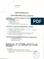 Derecho Procesal II