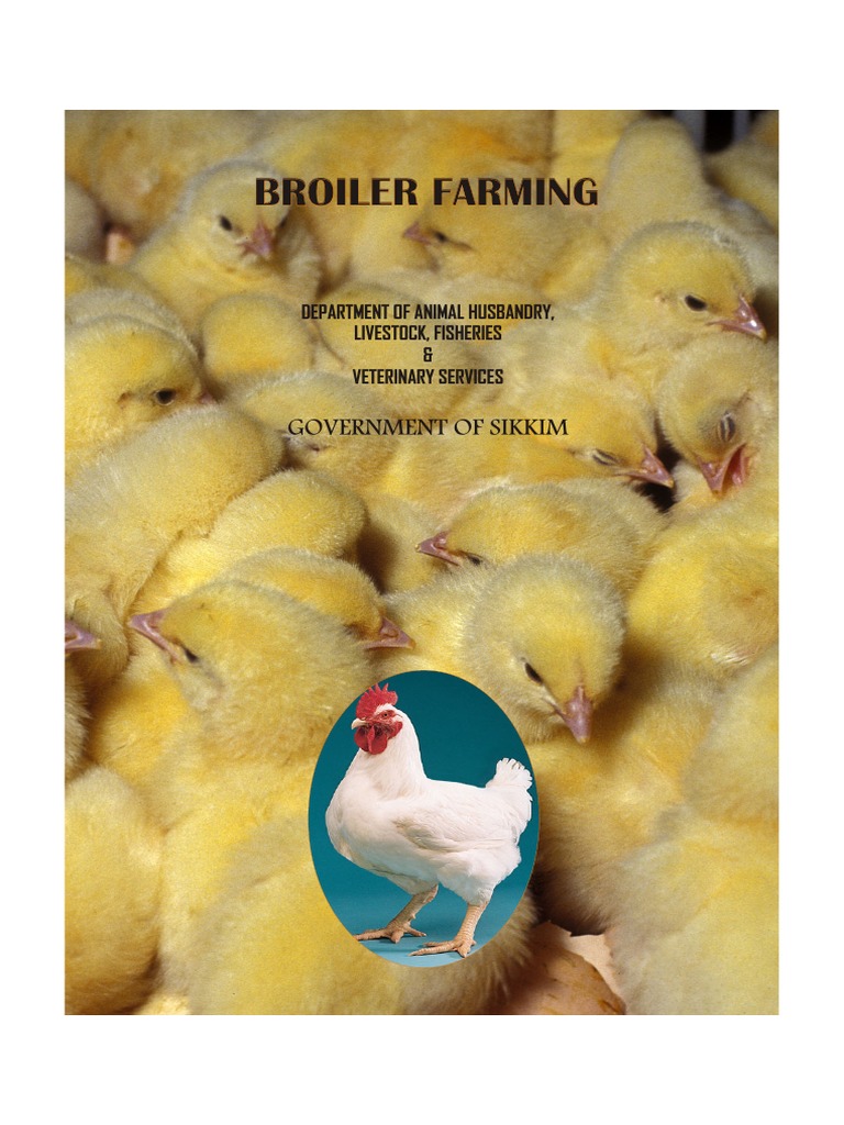 Broiler Farming Broiler Farming: Government of Sikkim | PDF | Poultry ...
