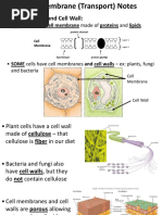 Cell Transport Powerpoint